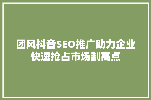 团风抖音SEO推广助力企业快速抢占市场制高点