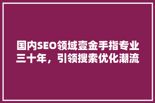 国内SEO领域壹金手指专业三十年，引领搜索优化潮流