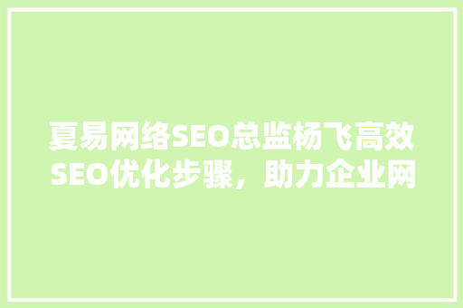 夏易网络SEO总监杨飞高效SEO优化步骤，助力企业网站排名攀升