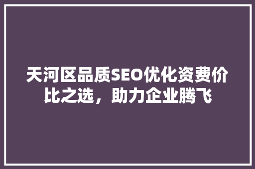 天河区品质SEO优化资费价比之选，助力企业腾飞