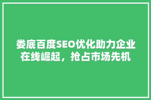 娄底百度SEO优化助力企业在线崛起，抢占市场先机