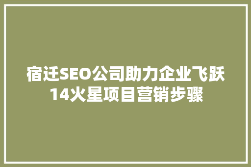 宿迁SEO公司助力企业飞跃14火星项目营销步骤