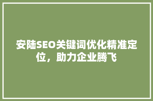 安陆SEO关键词优化精准定位，助力企业腾飞