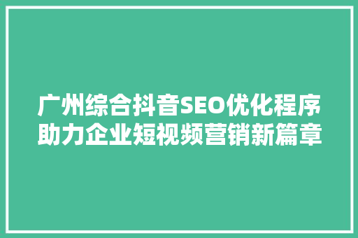 广州综合抖音SEO优化程序助力企业短视频营销新篇章