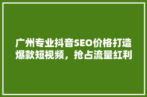 广州专业抖音SEO价格打造爆款短视频，抢占流量红利