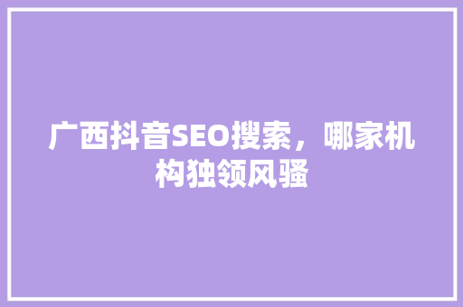 广西抖音SEO搜索，哪家机构独领风骚