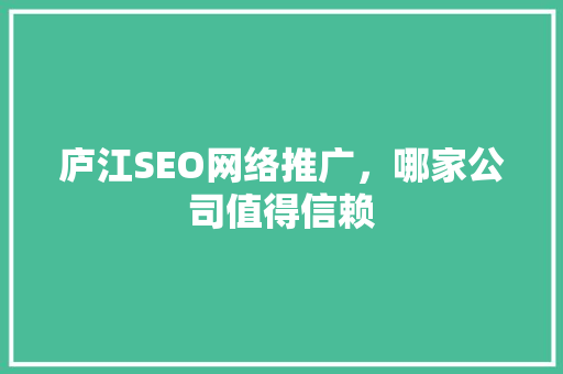 庐江SEO网络推广，哪家公司值得信赖