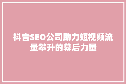 抖音SEO公司助力短视频流量攀升的幕后力量