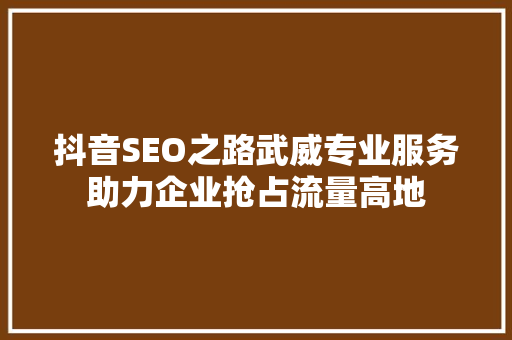 抖音SEO之路武威专业服务助力企业抢占流量高地