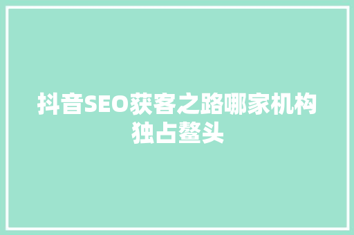 抖音SEO获客之路哪家机构独占鳌头