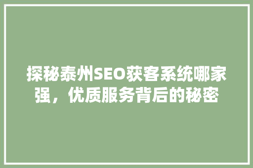 探秘泰州SEO获客系统哪家强，优质服务背后的秘密