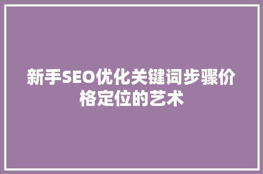 新手SEO优化关键词步骤价格定位的艺术