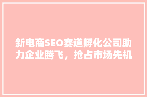 新电商SEO赛道孵化公司助力企业腾飞，抢占市场先机