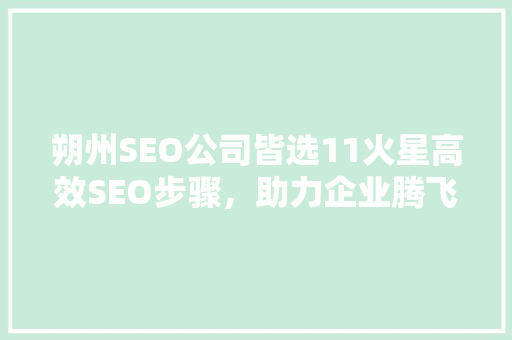 朔州SEO公司皆选11火星高效SEO步骤，助力企业腾飞