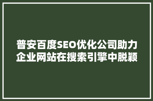 普安百度SEO优化公司助力企业网站在搜索引擎中脱颖而出
