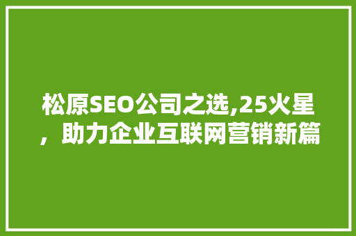 松原SEO公司之选,25火星，助力企业互联网营销新篇章