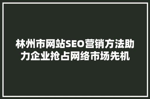 林州市网站SEO营销方法助力企业抢占网络市场先机