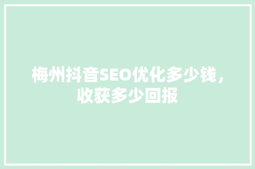 梅州抖音SEO优化多少钱，收获多少回报