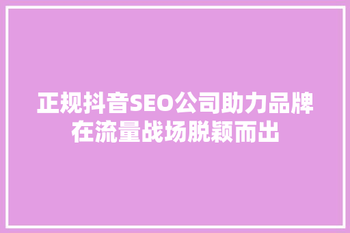 正规抖音SEO公司助力品牌在流量战场脱颖而出