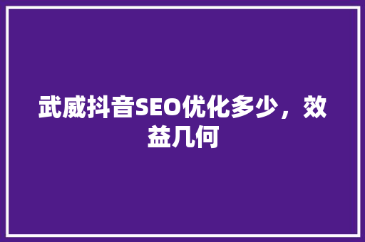 武威抖音SEO优化多少，效益几何
