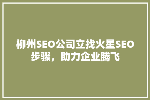 柳州SEO公司立找火星SEO步骤，助力企业腾飞
