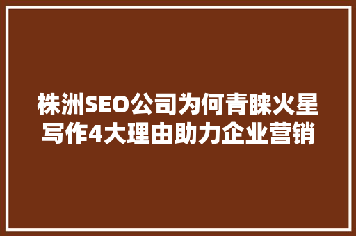 株洲SEO公司为何青睐火星写作4大理由助力企业营销升级