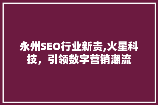 永州SEO行业新贵,火星科技，引领数字营销潮流