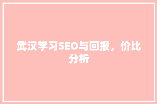 武汉学习SEO与回报，价比分析