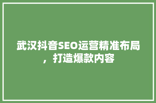 武汉抖音SEO运营精准布局，打造爆款内容