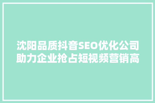 沈阳品质抖音SEO优化公司助力企业抢占短视频营销高地