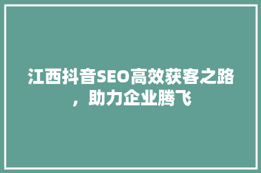 江西抖音SEO高效获客之路，助力企业腾飞