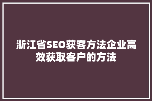 浙江省SEO获客方法企业高效获取客户的方法
