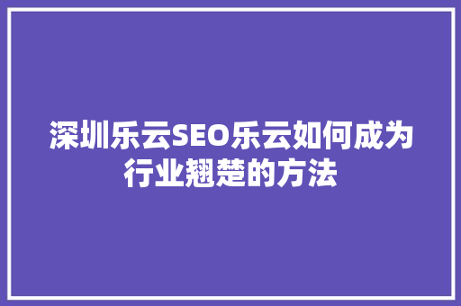 深圳乐云SEO乐云如何成为行业翘楚的方法