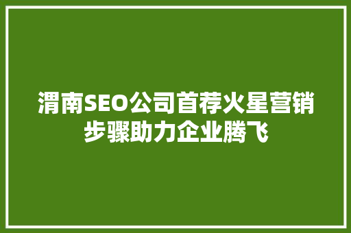 渭南SEO公司首荐火星营销步骤助力企业腾飞