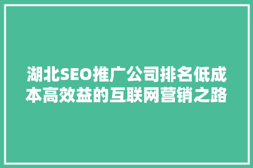 湖北SEO推广公司排名低成本高效益的互联网营销之路