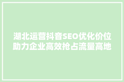 湖北运营抖音SEO优化价位助力企业高效抢占流量高地