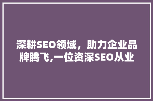 深耕SEO领域，助力企业品牌腾飞,一位资深SEO从业者的自我