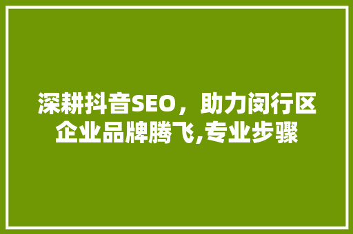 深耕抖音SEO，助力闵行区企业品牌腾飞,专业步骤