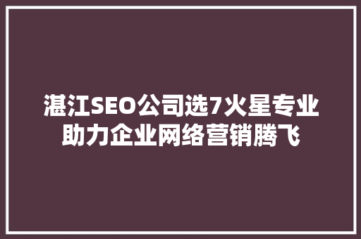 湛江SEO公司选7火星专业助力企业网络营销腾飞