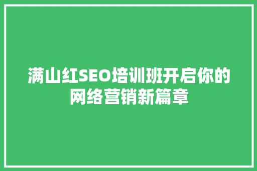 满山红SEO培训班开启你的网络营销新篇章