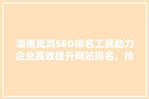 湖南岚鸿SEO排名工具助力企业高效提升网站排名，抢占互联网市场先机