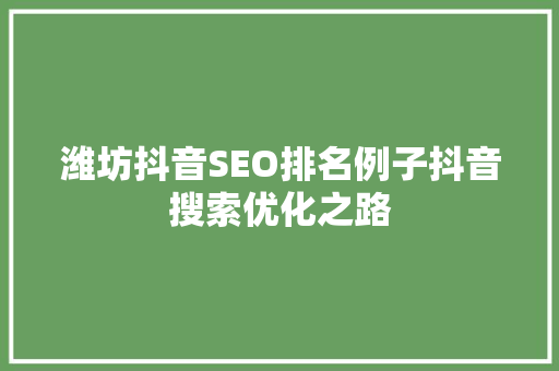 潍坊抖音SEO排名例子抖音搜索优化之路