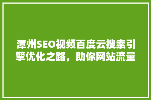 潭州SEO视频百度云搜索引擎优化之路，助你网站流量翻倍