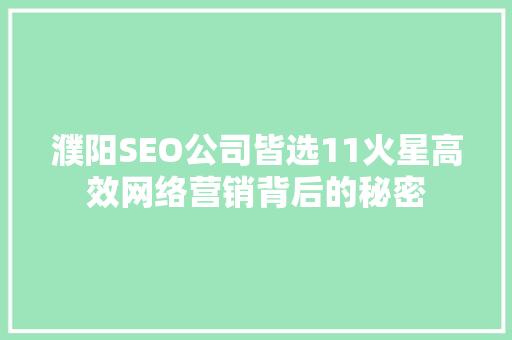 濮阳SEO公司皆选11火星高效网络营销背后的秘密