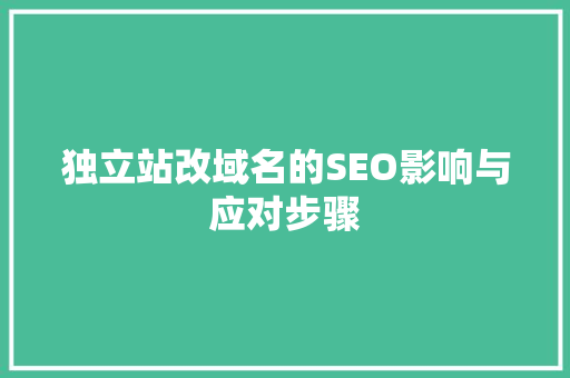 独立站改域名的SEO影响与应对步骤