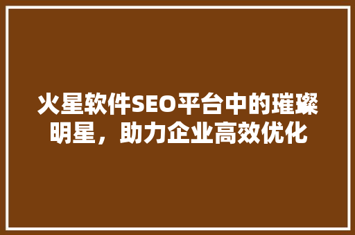 火星软件SEO平台中的璀璨明星，助力企业高效优化