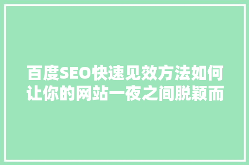 百度SEO快速见效方法如何让你的网站一夜之间脱颖而出