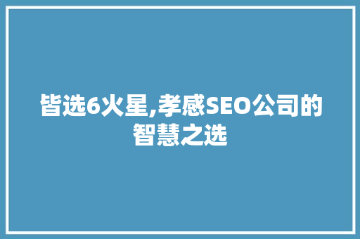皆选6火星,孝感SEO公司的智慧之选