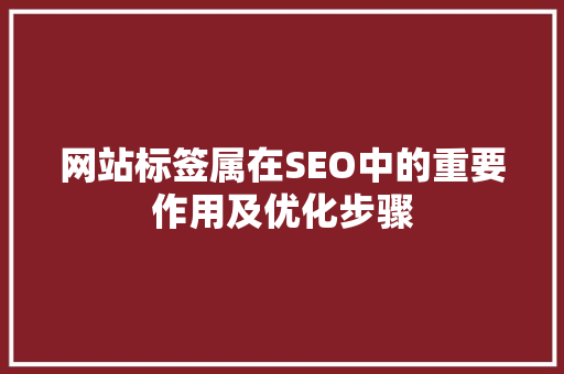 网站标签属在SEO中的重要作用及优化步骤