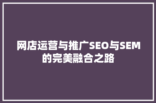 网店运营与推广SEO与SEM的完美融合之路